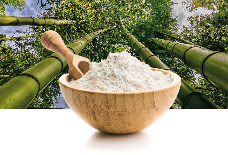 Whey Protein para iniciantes: tudo o que você precisa saber 💪